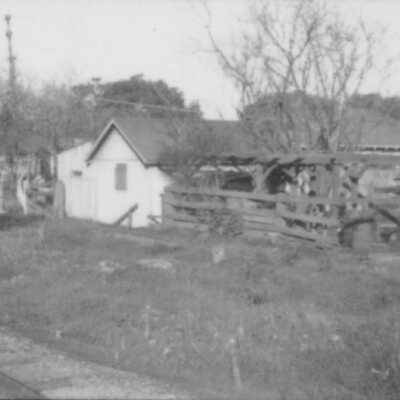 Backyard scene