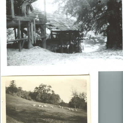 Martin Mill