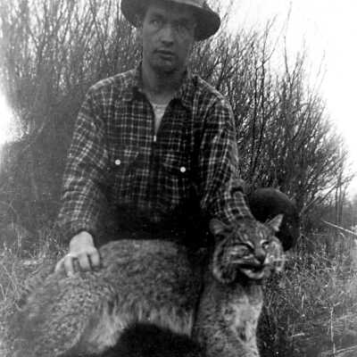 1944 Bobcat hunting