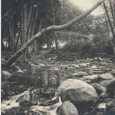 Los Gatos Creek