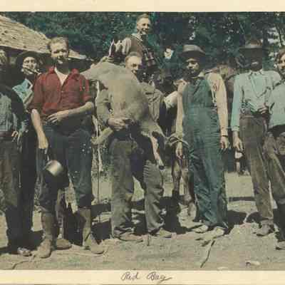 Hunting party