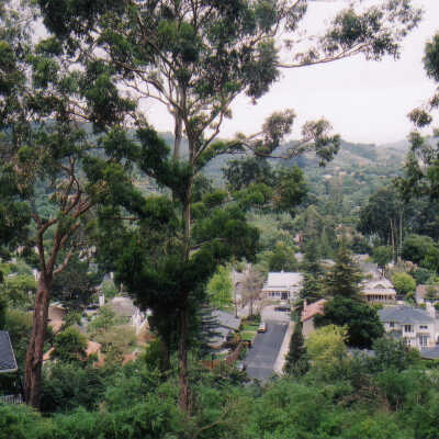 Loma Alta View 2004