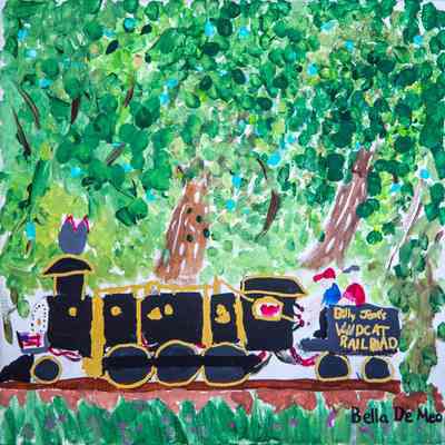 2013 - Billy Jones Wildcat Railroad