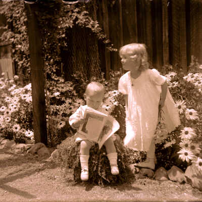 Children flowers magazine
