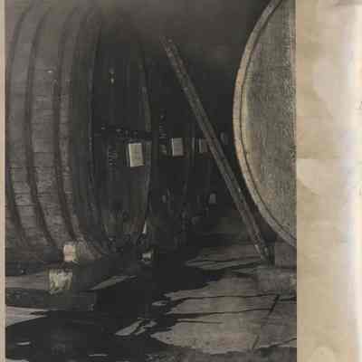 Novitiate winery