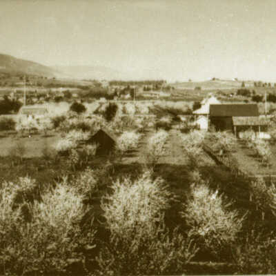 Rural Los Gatos