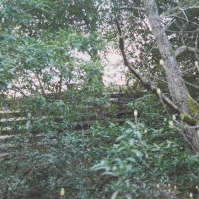 Route of the SPC/SP Railroads: Retaining wall along the east side of the Los Gatos Creek Trail