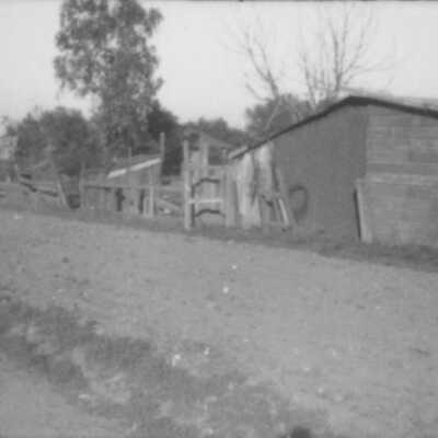 Backyard sheds
