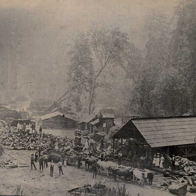 Logging in the mountains