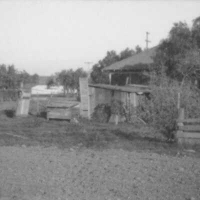 Backyard sheds