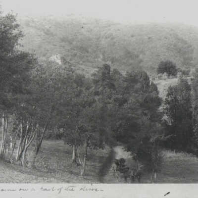 House - Unidentified