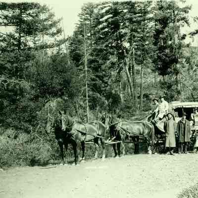 Travelers