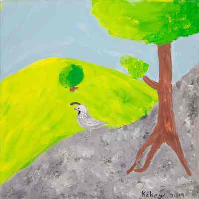 2019 - Quail