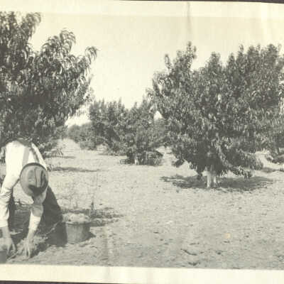 Scott family ranch
