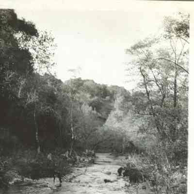 Los Gatos Creek