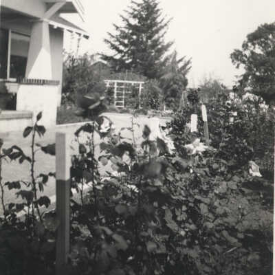 Cilker Family Home