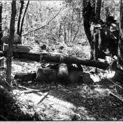 1880 French Woodchopper (1)