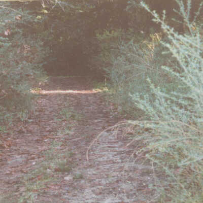 Route of S.P.C. and S.P. Railroads: From the Clems Tunnel looking north