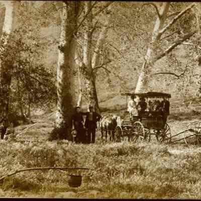 1890 Picnic
