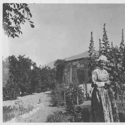 1920 The Californian
