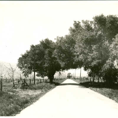 1915 Country road