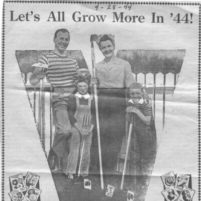 Hardware store, Templeman's - advertisement