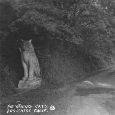 1922 Cat statues at estate entrance