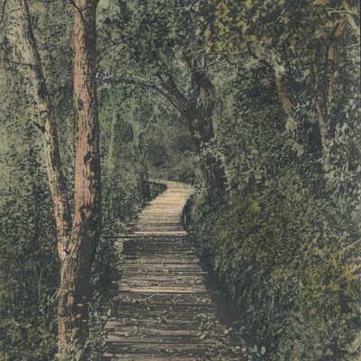 1871-1930's Flume