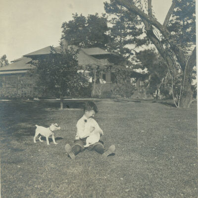 Bill Balch and dogs