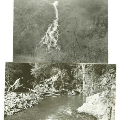 Los Gatos Creek