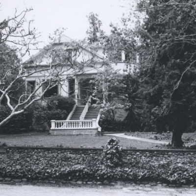 Chestnut Avenue 54