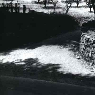 Mountain Springs Ranch