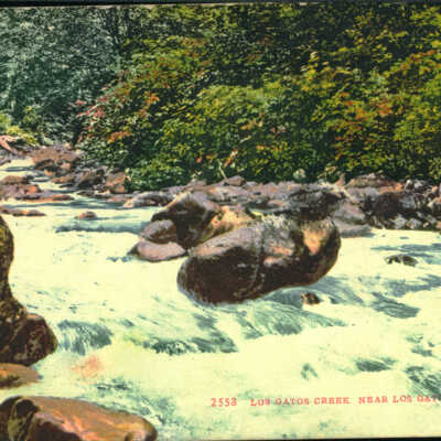 Los Gatos Creek