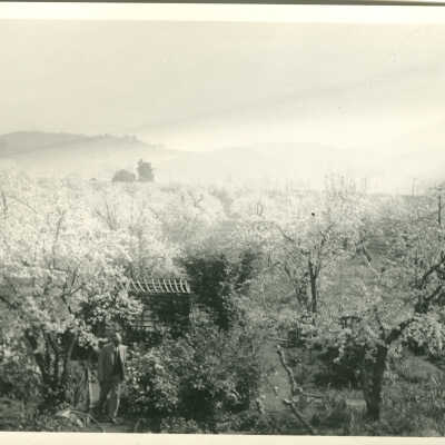 Placer Oaks Ranch