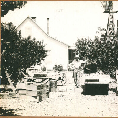 Home and orchard