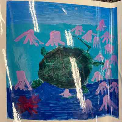 2016 - Turtle