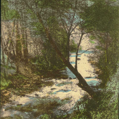 Los Gatos Creek in the Spring