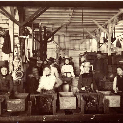 1890 Cannery Peach Pitters