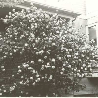 Kyle Family Home