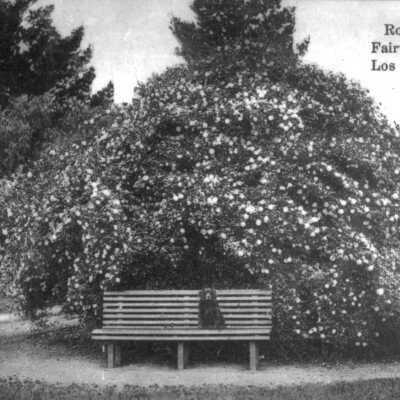 1915 Fairview Plaza