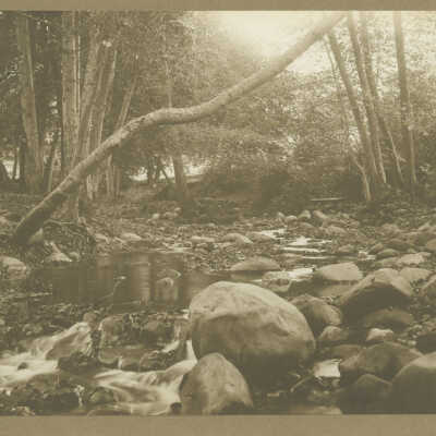 Los Gatos Creek