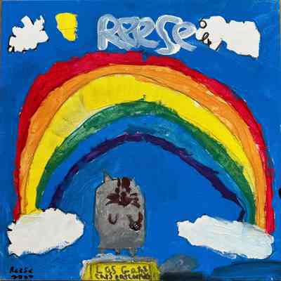2022 - Rainbow Cat