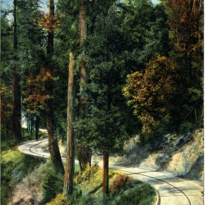 Santa Cruz Mountains