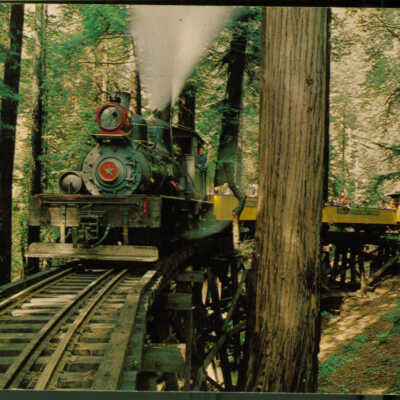 Dixiana Shay locomotive
