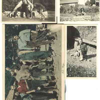Hunting party