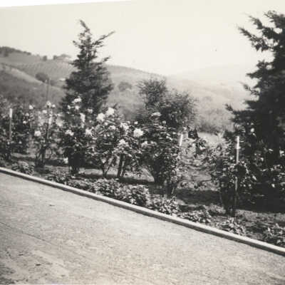 Cilker Family Garden