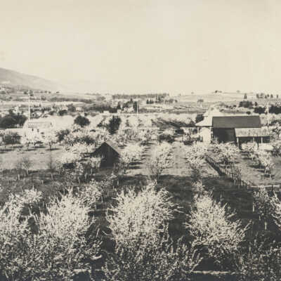 1950's Blossom Hill area