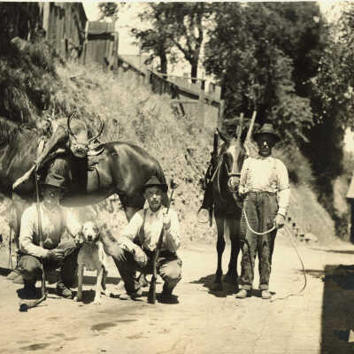 Four hunters