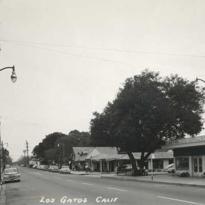 1954 Little Village Market