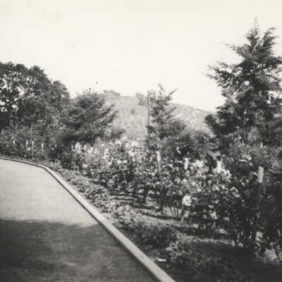 Cilker Family Garden